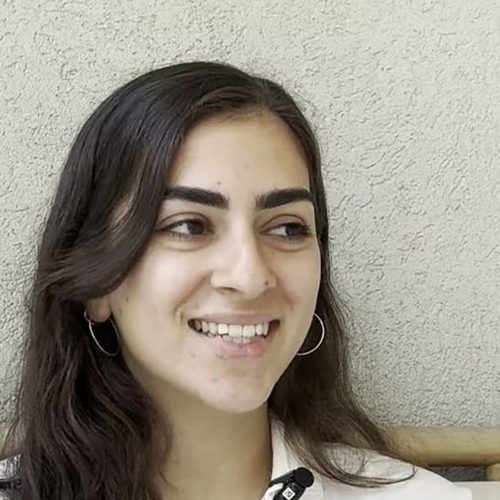 ים לוי